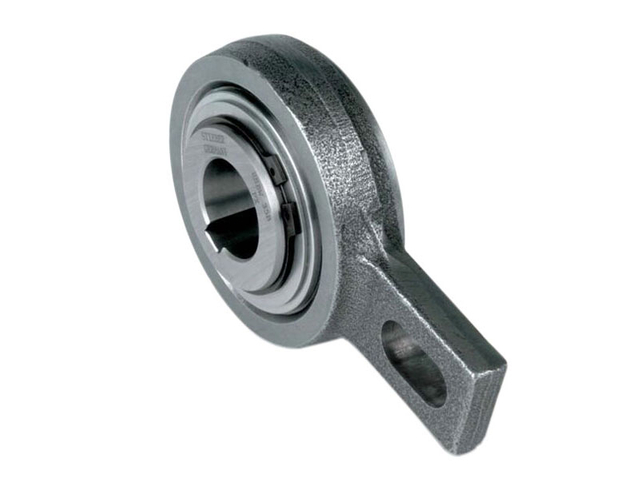 RSBW Backstop overrunning clutch