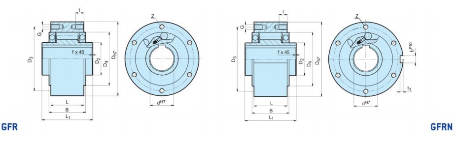 GFR Freewheel Clutch