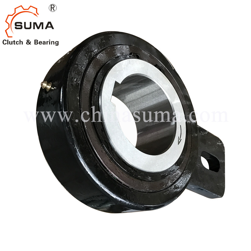 BSEU backstop clutch internal structure view